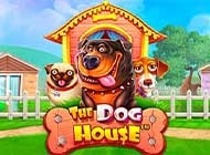 The Dog House – лицензионный игровой автомат с мгновенными выплатами выигрыша